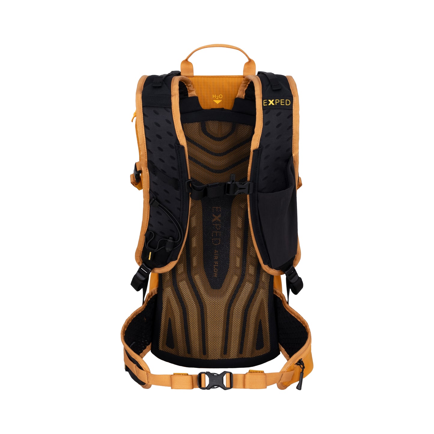 Skyline 12 gold back 7640277847729 4000x4000