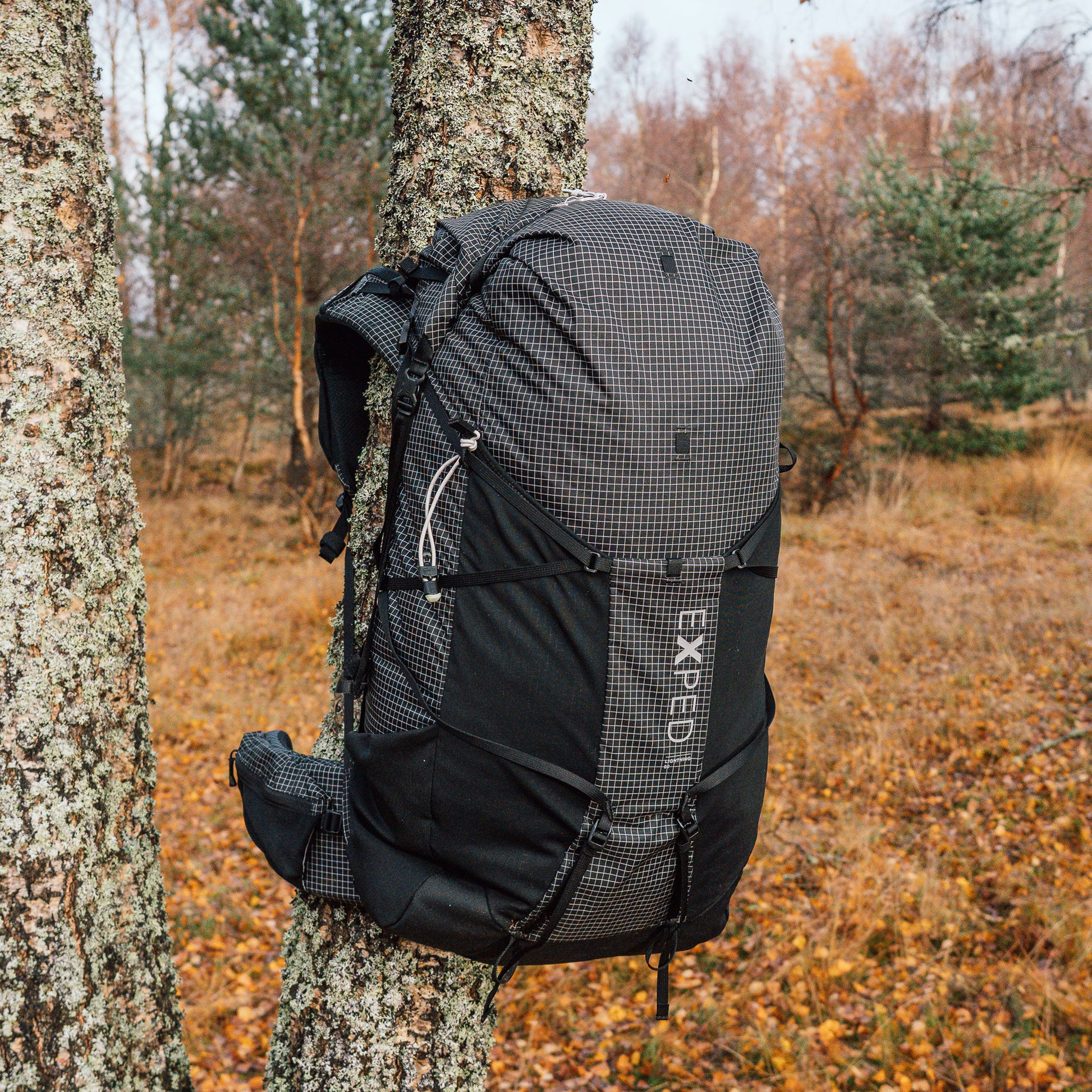 EXPED Lightning 60 black on a tree